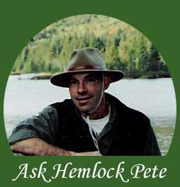 Ask Hemlock Pete