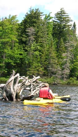 paddling